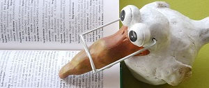 optik inspektor datenschutz ist alles in ordnung